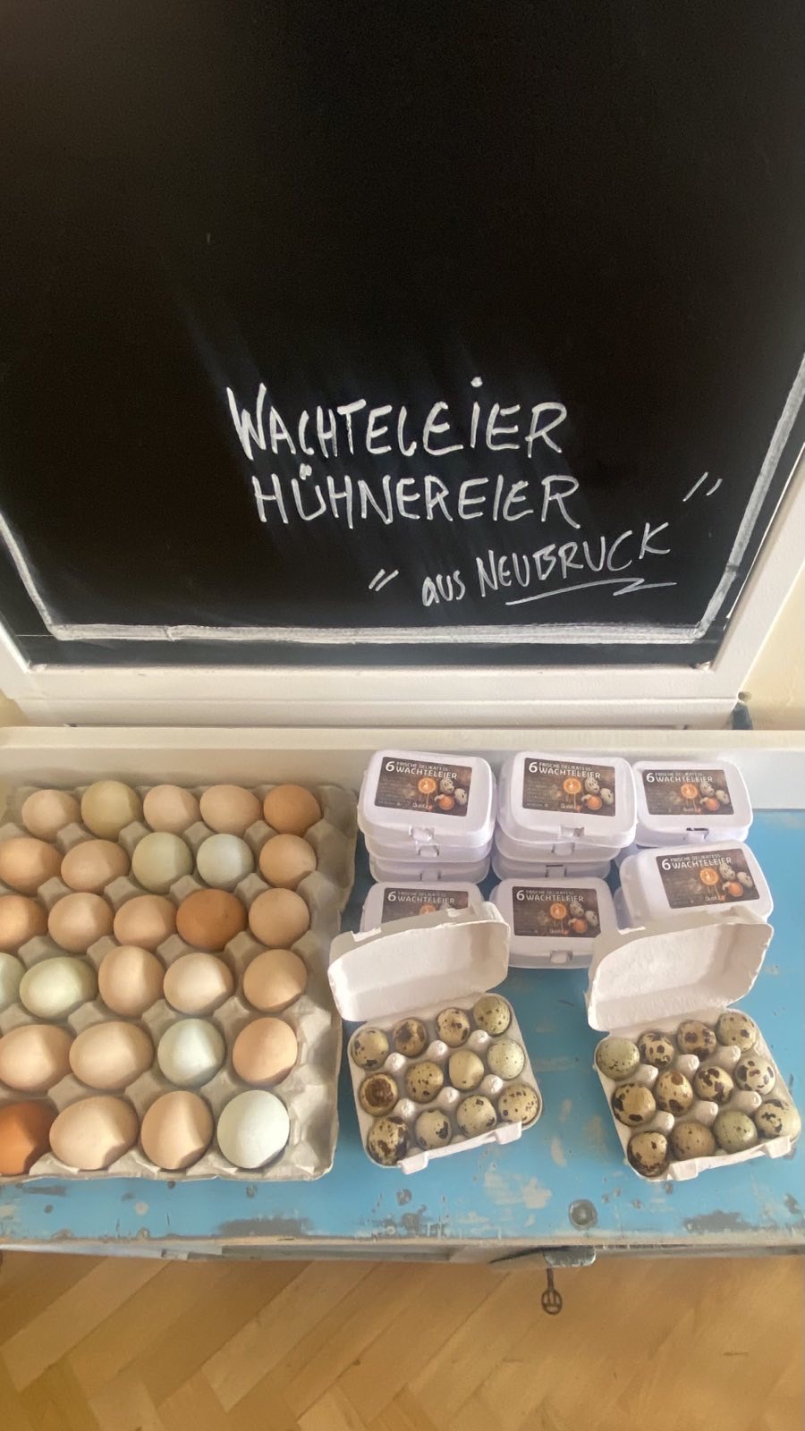 Frische Eier / Wachteleier – Bild 3