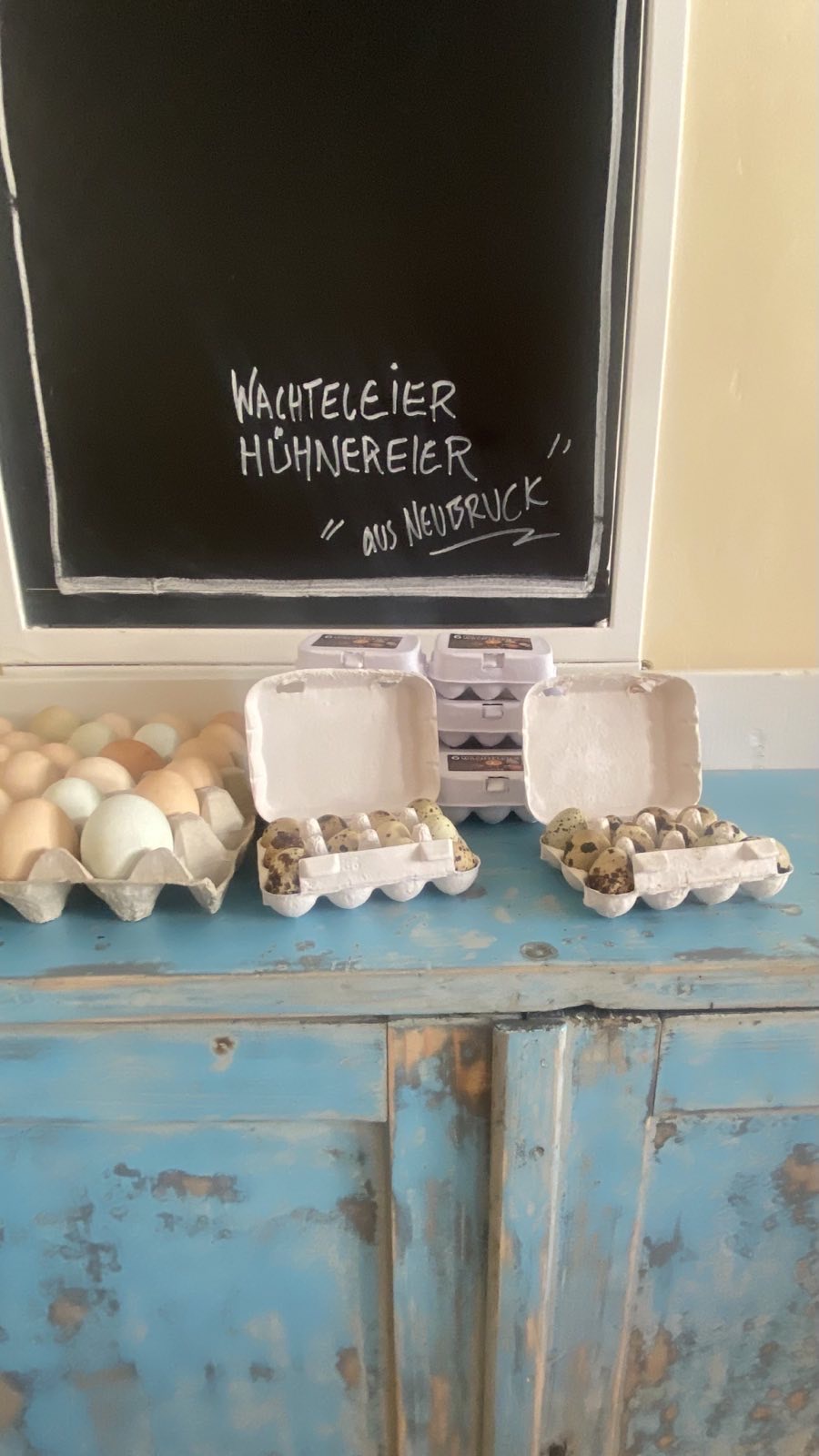 Frische Eier / Wachteleier – Bild 4