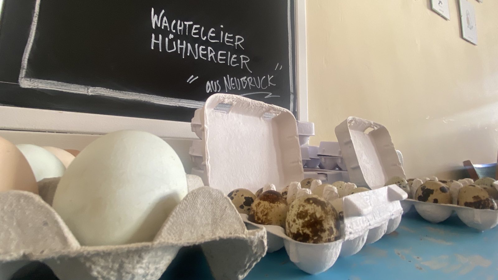 Frische Eier / Wachteleier – Bild 5