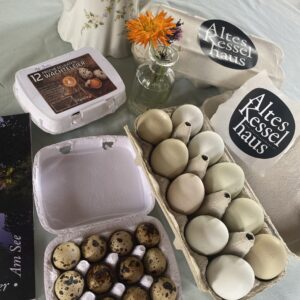 Frische Eier / Wachteleier