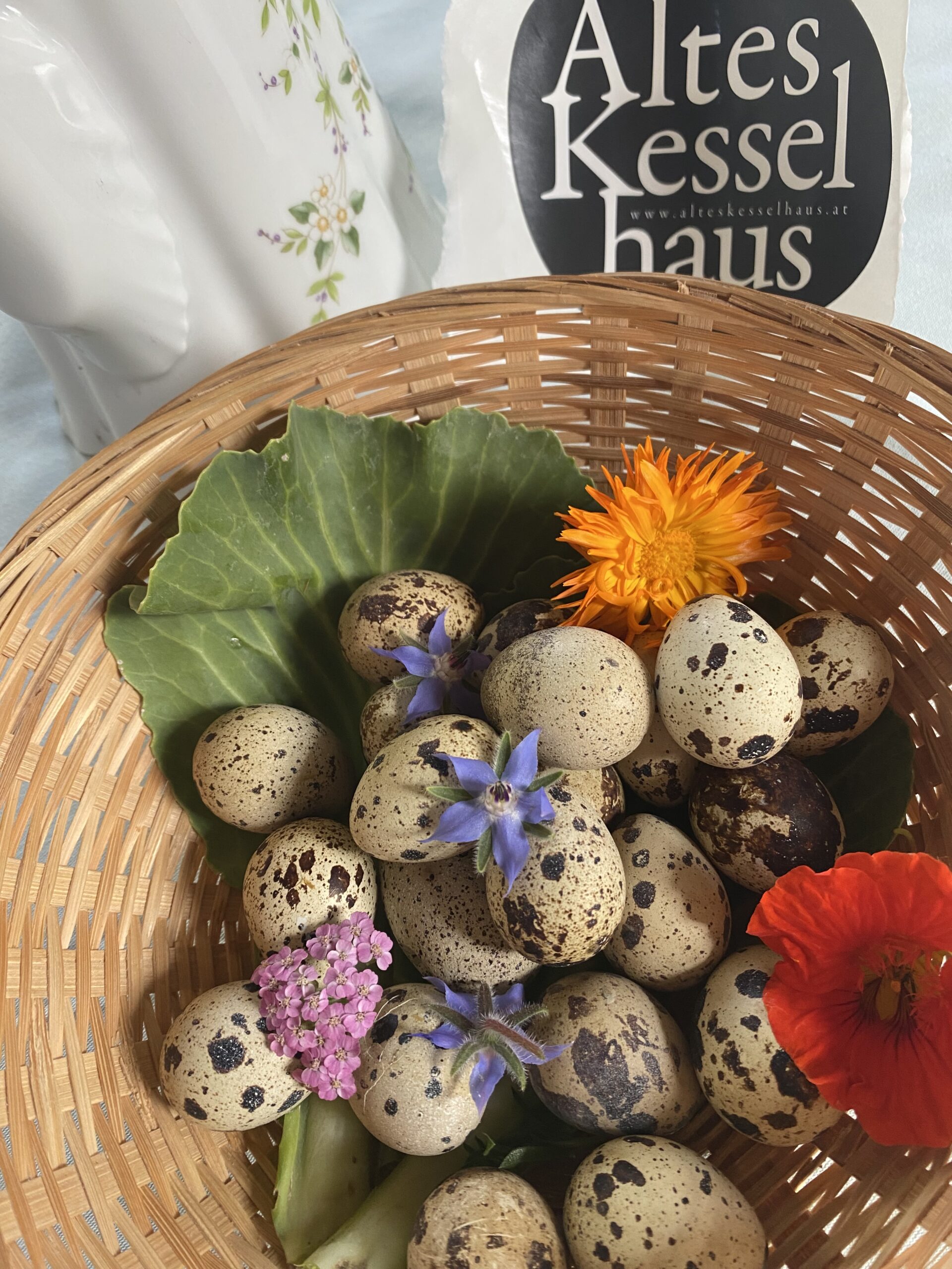 Frische Eier / Wachteleier – Bild 2